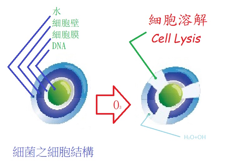 3d81edc00b4bb955908d89ded69fda72.jpg